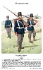 Hannover - Infanterie 1866