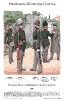 Sachsen-Coburg-Gotha - Infanterie 1866