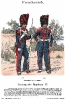 Frankreich - Kaisergarde Pioniere 1854-1864