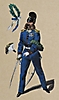 Infanterie 1871 - 15. Regiment König Johann von Sachsen, Offizier