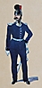 Pionierwesen 1868 - Genie-Regiment, Offizier