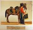 Kaisergarde - Guiden zu Pferd (Trompeter mit Mannschaftspferd)