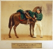 Kavallerie - Jäger zu Pferd (Jäger in Stalluniform)