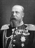 Viktor Gustav Karl Friedrich Graf von Brandenburg (aus Priesdorff, Band 7)